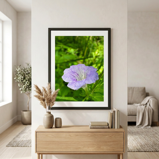Fine art photography print of Mexican Petunia by Nemet Studio. Framed wall art supporting conservation.