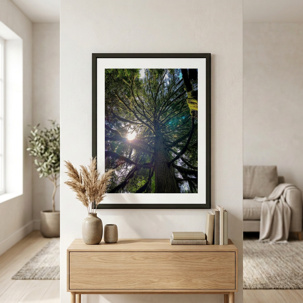 Fine art photography print of Beneath the Canopy by Nemet Studio. Framed wall art supporting conservation.