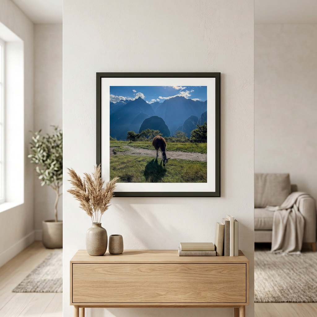 Fine art photography print of Llama in the Andes by Nemet Studio. Framed wall art supporting conservation.