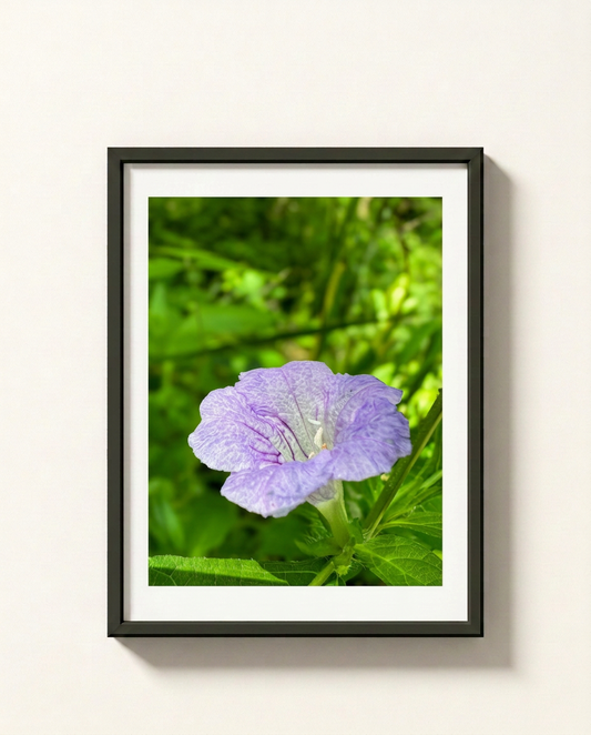 A framed botanical art print featuring a single light purple flower with green leaves, set in a black frame against a white mat, mounted on a light beige wall.