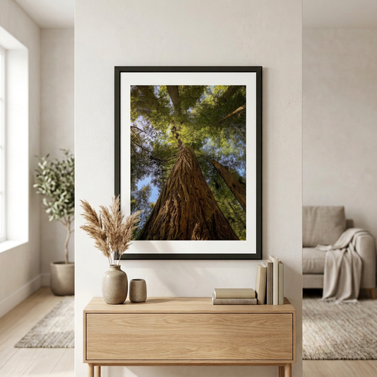 Fine art photography print of Redwoods by Nemet Studio. Framed wall art supporting conservation.