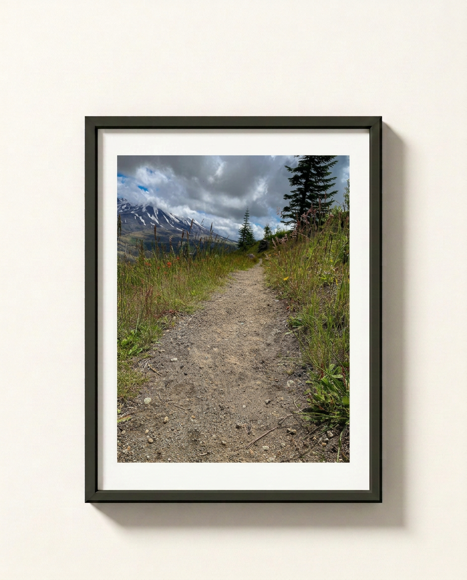 A framed landscape photograph of a dirt hiking trail winding through green grass toward snow-capped mountains under a cloudy sky, displayed in a black frame with a white mat against a light beige wall.