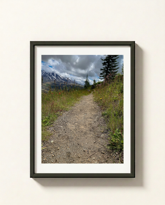 A framed landscape photograph of a dirt hiking trail winding through green grass toward snow-capped mountains under a cloudy sky, displayed in a black frame with a white mat against a light beige wall.
